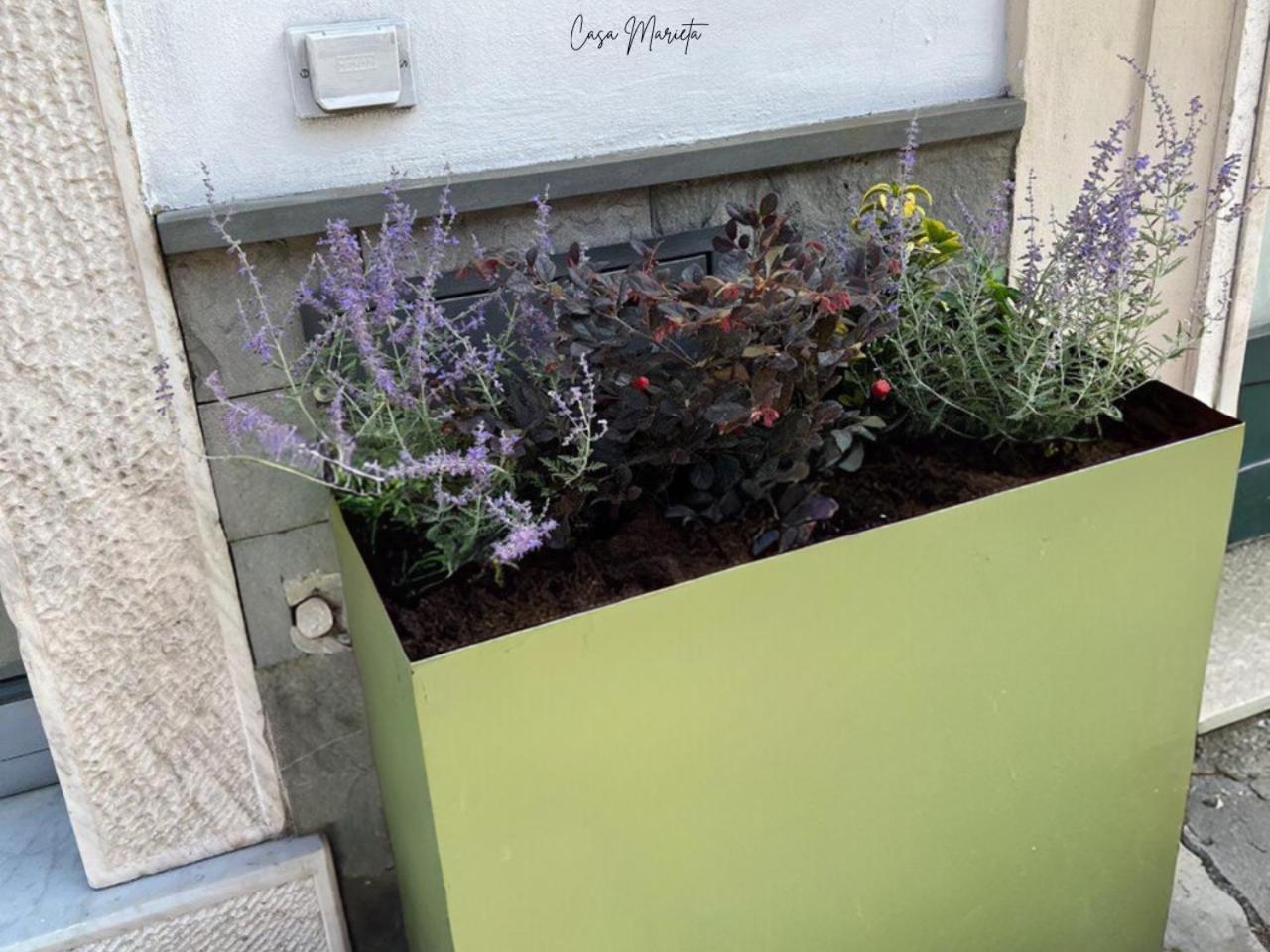 Marieta Rooms Sarzana Zewnętrze zdjęcie